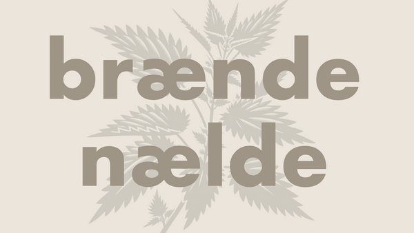 Brændenældeolie