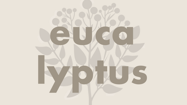 Eucalyptus æteriskolie