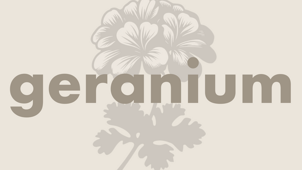 Geranium æteriskolie