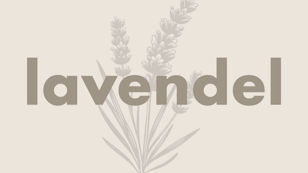 Lavendel æteriskolie