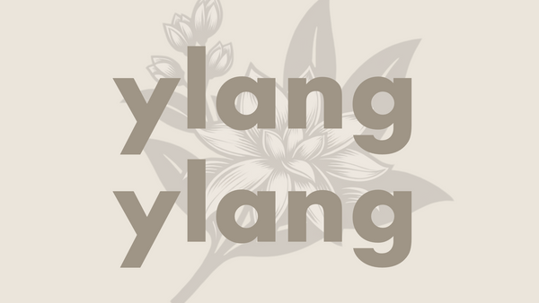 Ylang ylang æteriskolie